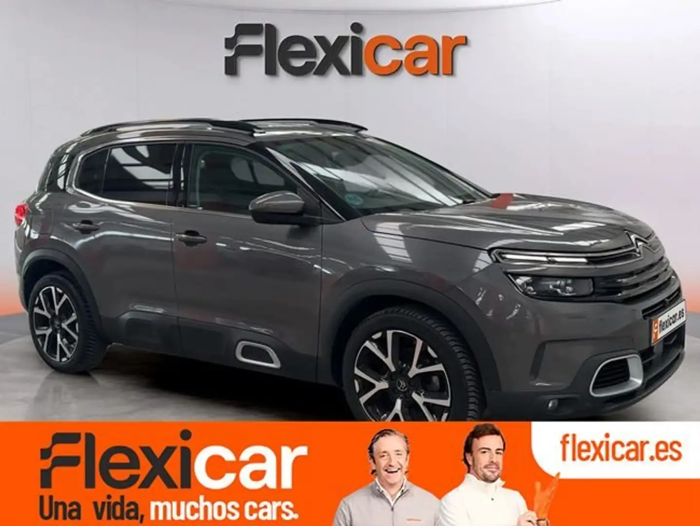 Citroen C5 Aircross PureTech S&S Feel 130 Gris - 1