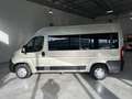 Citroen Jumper Kombi 33 L2H2 Live 160*9SITZER*KLIMA*NAVI Goud - thumbnail 5