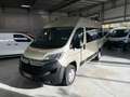 Citroen Jumper Kombi 33 L2H2 Live 160*9SITZER*KLIMA*NAVI Goud - thumbnail 2