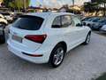 Audi Q5 2.0 tdi quattro 170cv s-tronic dpf Bianco - thumbnail 2