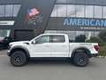 Ford F 150 RAPTOR 37 PACKAGE Alb - thumbnail 2