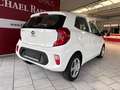 Kia Picanto Edition 7 Blanc - thumbnail 3