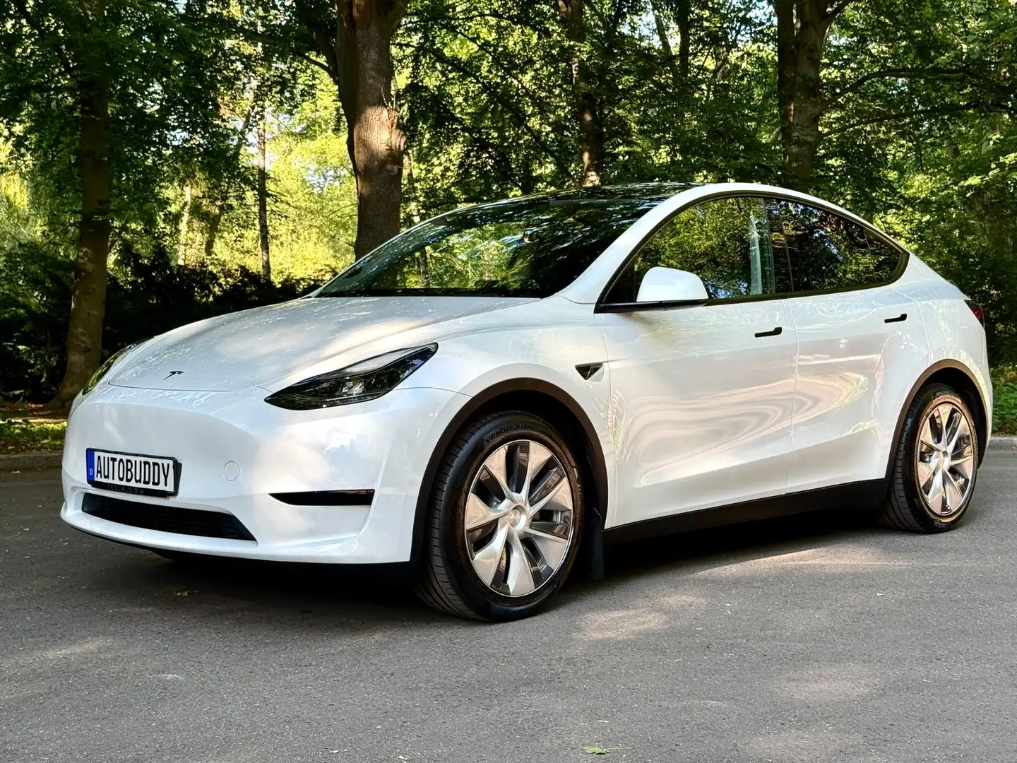Tesla Model Y RWD Weiß - 2