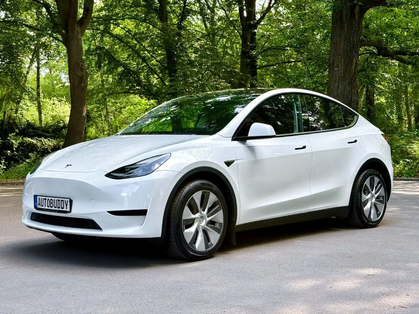 Tesla Model Y RWD Blanc - 2