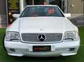 Mercedes-Benz SL 300 SL 300 24 Blanc - thumbnail 16