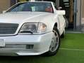 Mercedes-Benz SL 300 SL 300 24 Blanc - thumbnail 22