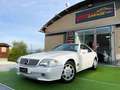 Mercedes-Benz SL 300 SL 300 24 Blanc - thumbnail 20