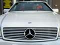 Mercedes-Benz SL 300 SL 300 24 Blanc - thumbnail 18