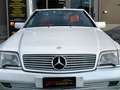 Mercedes-Benz SL 300 SL 300 24 Blanc - thumbnail 17