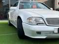 Mercedes-Benz SL 300 SL 300 24 Blanc - thumbnail 23
