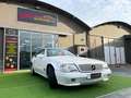 Mercedes-Benz SL 300 SL 300 24 Blanc - thumbnail 21