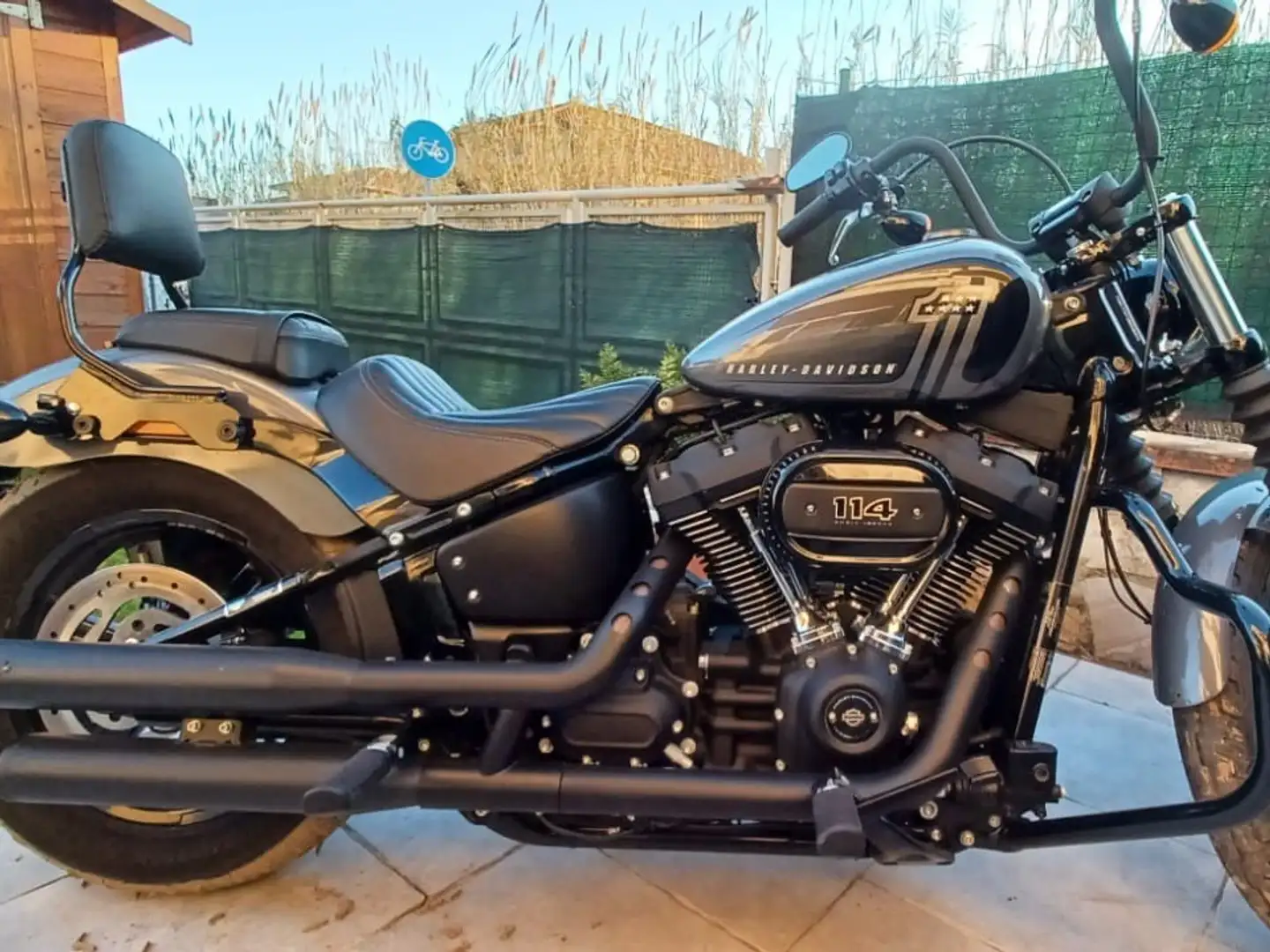 Harley-Davidson Grigio - 1
