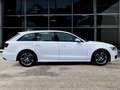 Audi A6 Avant 2.0 TDI 190 CV ultra S tronic Bianco - thumbnail 4