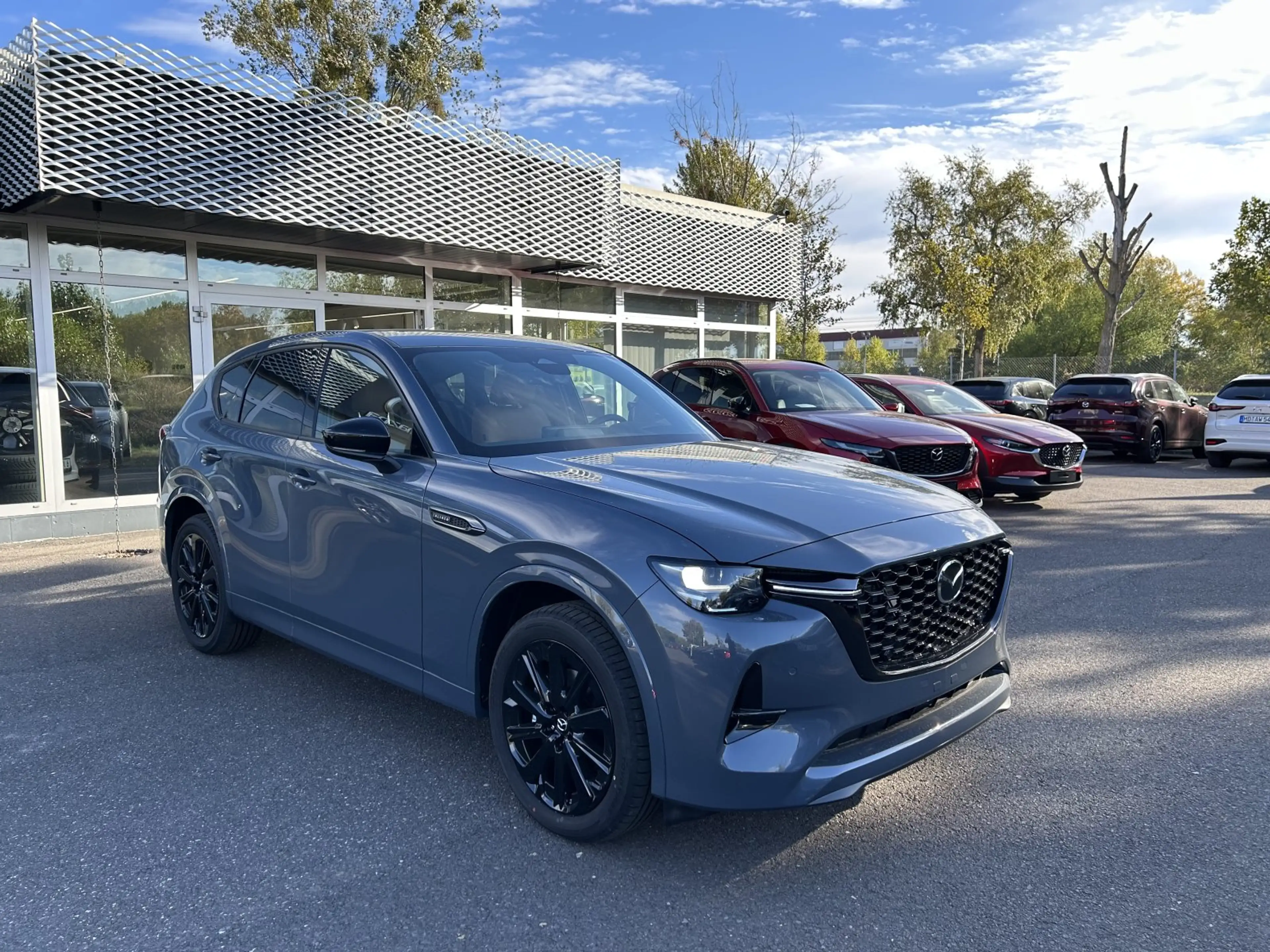 Mazda CX-60 3.3 e-SKYACTIV-D 254 M-Hybrid Homura Plus TLOP 202 — photo 9