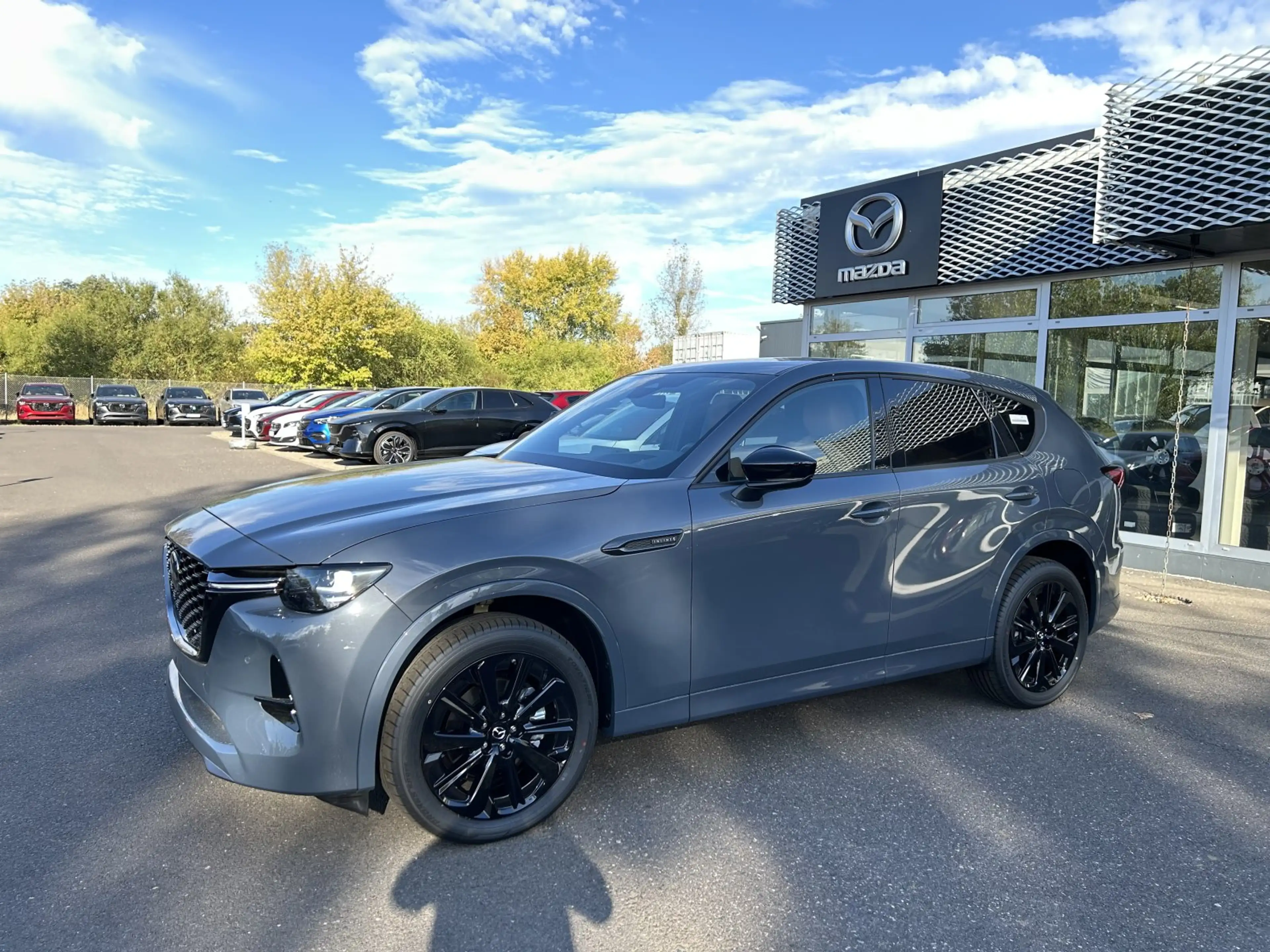 Mazda CX-60 3.3 e-SKYACTIV-D 254 M-Hybrid Homura Plus TLOP 202 — photo 3