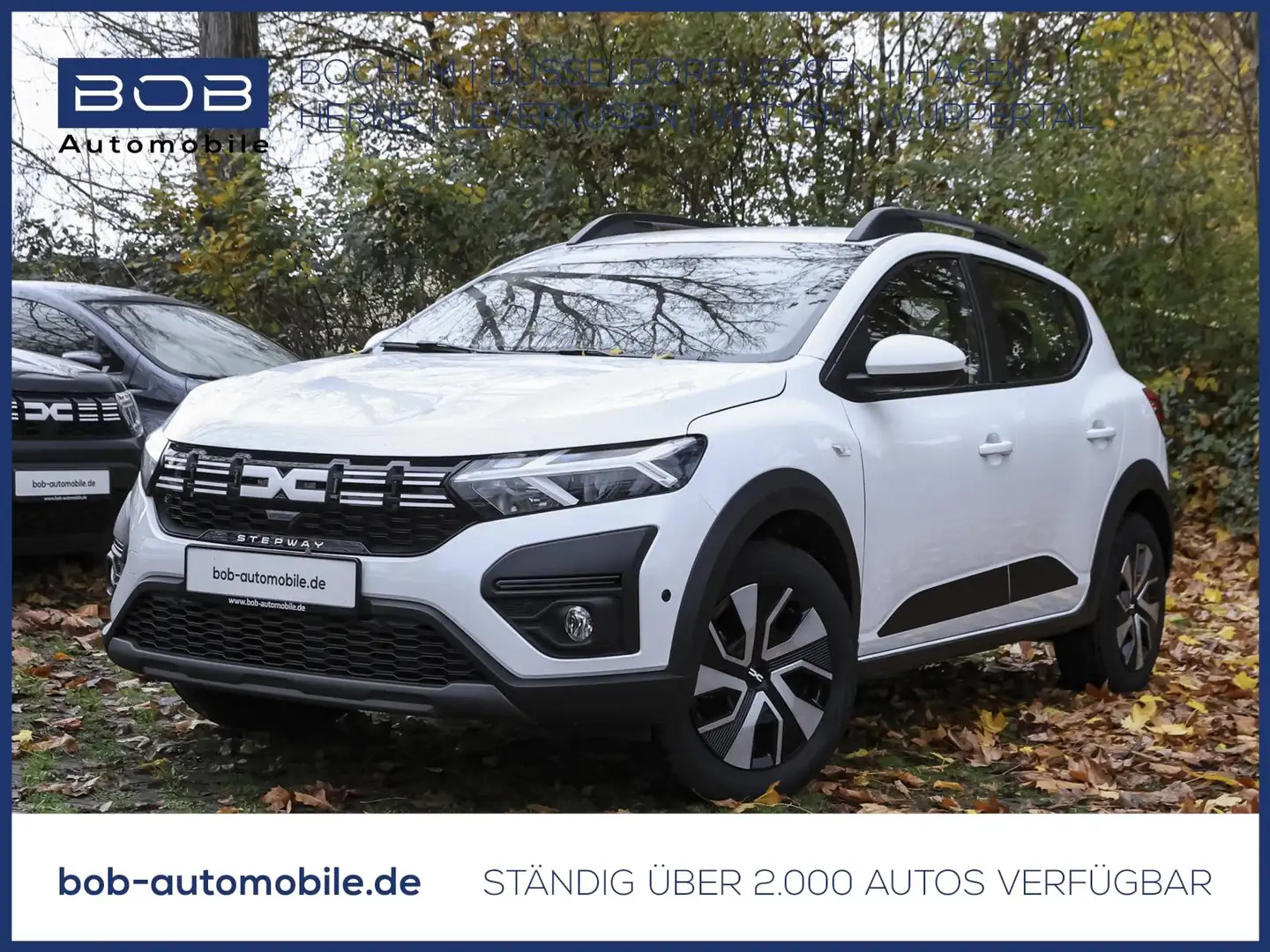 Dacia Sandero Stepway Expression TCe 90 *KAMERA*PDC Blanc - 1