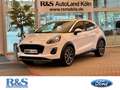 Ford Puma Titanium Design+PDC+Klima+Winter-Paket Blanc - thumbnail 1