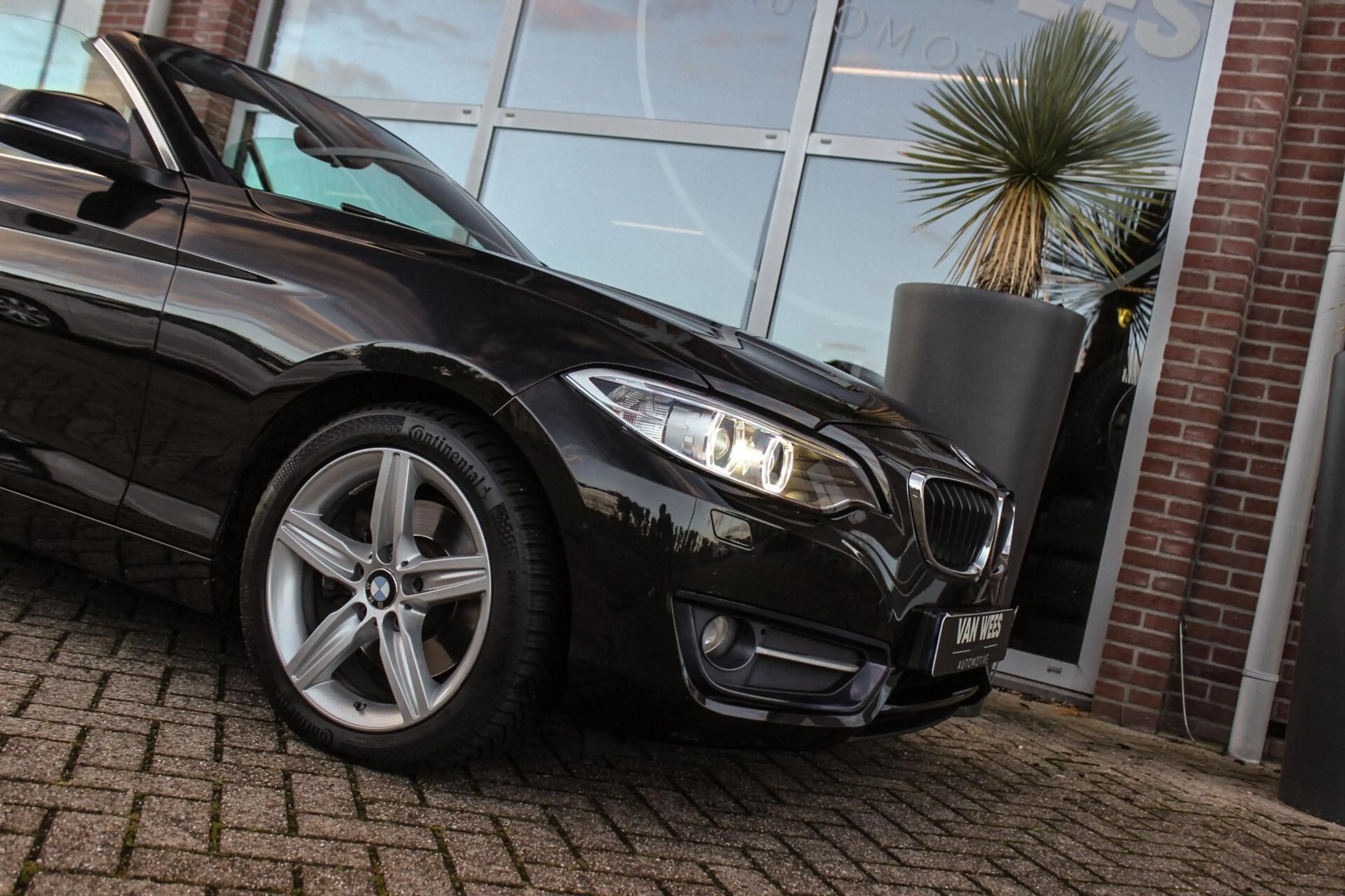 BMW 220 2-serie Cabrio 220i Sport | Origineel NL | Cruise — photo 40