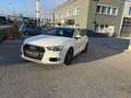 Audi A3 Sportback TDI S-Lein Weiß - thumbnail 18