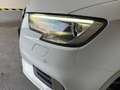 Audi A3 Sportback TDI S-Lein Weiß - thumbnail 17