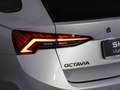 Skoda Octavia wagon 2.0 tdi evo sportline 115cv Zilver - thumbnail 20