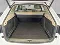 Skoda Superb Combi 2.0 TDI DSG Premium Edition Weiß - thumbnail 5