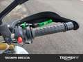 Aprilia Dorsoduro Blanc - thumbnail 10