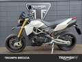 Aprilia Dorsoduro Blanc - thumbnail 12