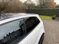 Volkswagen Polo GTI 1.4 TSI 180PK I DSG I STERRENHEMEL I CARPLAY I PDC Wit - thumbnail 25