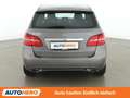 Mercedes-Benz B 200 B 200 CDI 4Matic Urban Grau - thumbnail 5