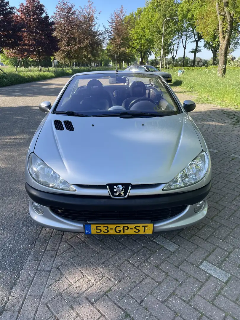 Peugeot 206 2.0-16V Grijs - 2