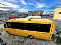 Iveco Daily Scuolabus 50C15 Cacciamali 36 posti Gelb - thumbnail 44