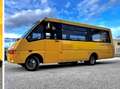 Iveco Daily Scuolabus 50C15 Cacciamali 36 posti Gelb - thumbnail 15