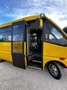 Iveco Daily Scuolabus 50C15 Cacciamali 36 posti Gelb - thumbnail 45