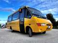 Iveco Daily Scuolabus 50C15 Cacciamali 36 posti Gelb - thumbnail 8