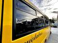 Iveco Daily Scuolabus 50C15 Cacciamali 36 posti Gelb - thumbnail 21