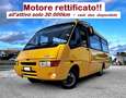 Iveco Daily Scuolabus 50C15 Cacciamali 36 posti Gelb - thumbnail 6