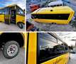 Iveco Daily Scuolabus 50C15 Cacciamali 36 posti Gelb - thumbnail 12