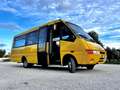 Iveco Daily Scuolabus 50C15 Cacciamali 36 posti Gelb - thumbnail 5
