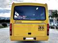 Iveco Daily Scuolabus 50C15 Cacciamali 36 posti Gelb - thumbnail 10
