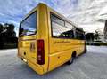 Iveco Daily Scuolabus 50C15 Cacciamali 36 posti Gelb - thumbnail 3