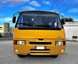 Iveco Daily Scuolabus 50C15 Cacciamali 36 posti Gelb - thumbnail 2