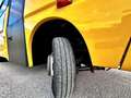 Iveco Daily Scuolabus 50C15 Cacciamali 36 posti Gelb - thumbnail 49