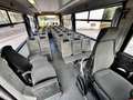 Iveco Daily Scuolabus 50C15 Cacciamali 36 posti Gelb - thumbnail 39