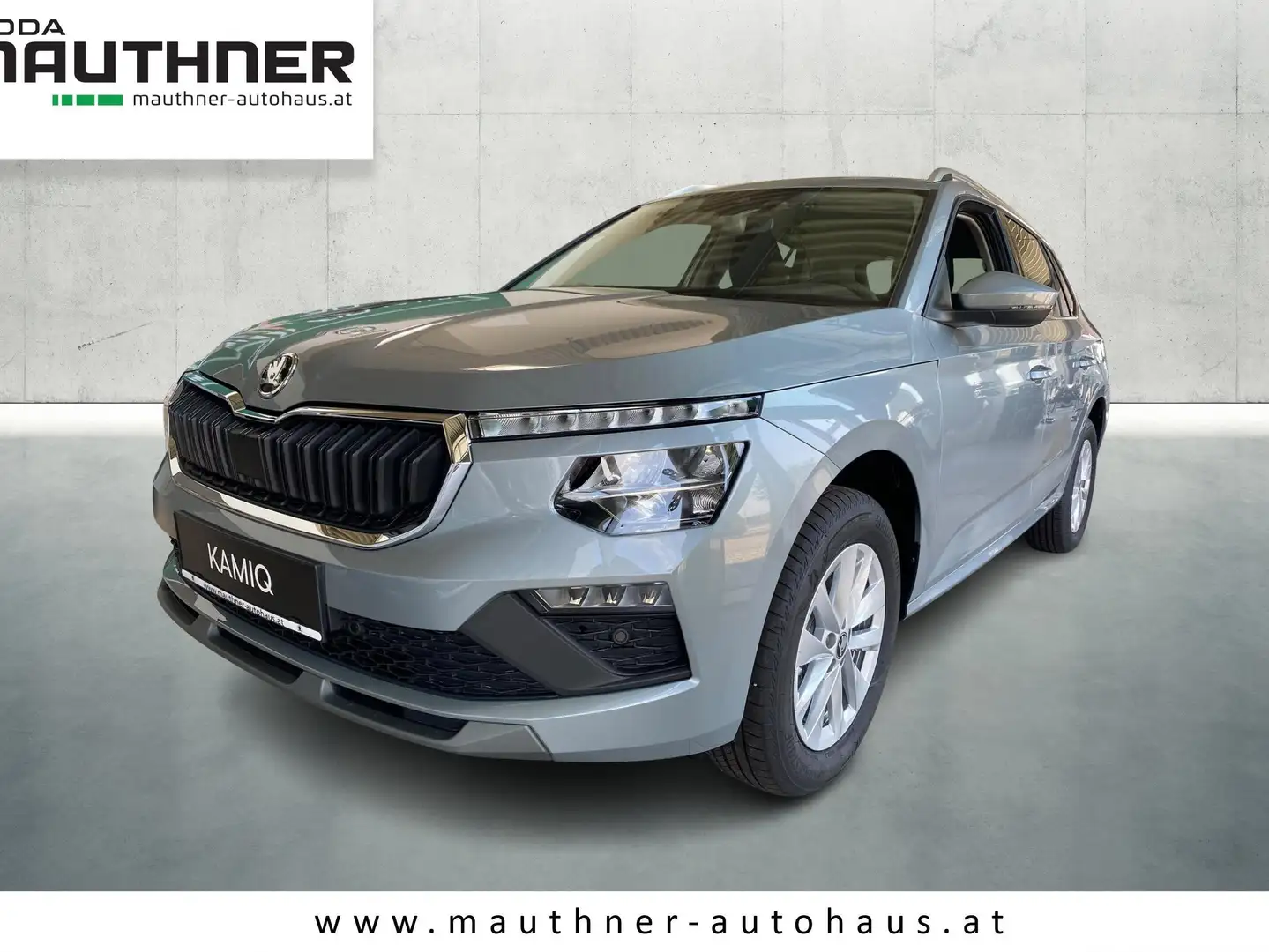 Skoda Kamiq Selection Silber - 1