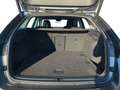 Skoda Octavia Combi Selection 2.0 TDI DSG AHK*ACC*AHK Grau - thumbnail 6