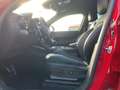 Alfa Romeo Stelvio 2.9 V6 Bi-turbo Quadrifoglio Q4 (EURO 6d) Rot - thumbnail 11