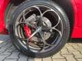 Alfa Romeo Stelvio 2.9 V6 Bi-turbo Quadrifoglio Q4 (EURO 6d) Rot - thumbnail 6