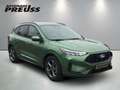 Ford Kuga ST-Line 1.5 EcoBoost Automatik Grün - thumbnail 6
