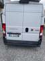 Fiat Ducato L3H2 - thumbnail 5